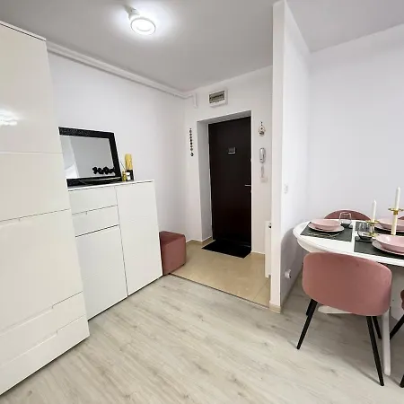 Апартаменты Spacious Serenity Бухарест